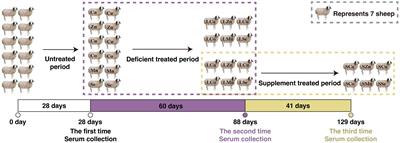 Effects of essential mineral elements deficiency and supplementation on serum mineral elements concentration and biochemical parameters in grazing Mongolian sheep